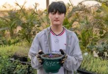 【乐玩LEWIN】外媒统计选手五杀排行榜:Peyz第一,GALA、Ruler并列第二-乐玩真人线上娱乐