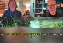 【乐玩LEWIN】《疯狂动物城3》开始制作？导演确认第三部首张草稿已完成！-乐玩真人线上娱乐