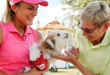 大发体育-米歇尔给巡演生活带来的困扰的建议是：养条狗，大发助力你的致富之路！-乐玩真人线上娱乐