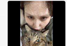 【乐玩LEWIN】爱猫过世了⋯东北美人的她也不做了!-乐玩真人线上娱乐