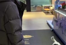 【乐玩LEWIN】BLG官媒晒队员日常：掉落一个沉浸式看咕噜噜玩球的per-乐玩真人线上娱乐