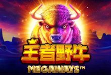 王者野牛——在大发娱乐感受草原霸主的内敛力量-乐玩真人线上娱乐