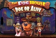 汪汪之家·狗狗神气 —— 大发娱乐全新萌宠主题老虎机深度介绍-乐玩真人线上娱乐