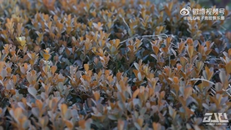 BLG官方发布对阵JDG赛前视频：沉心深耕，稳中求进