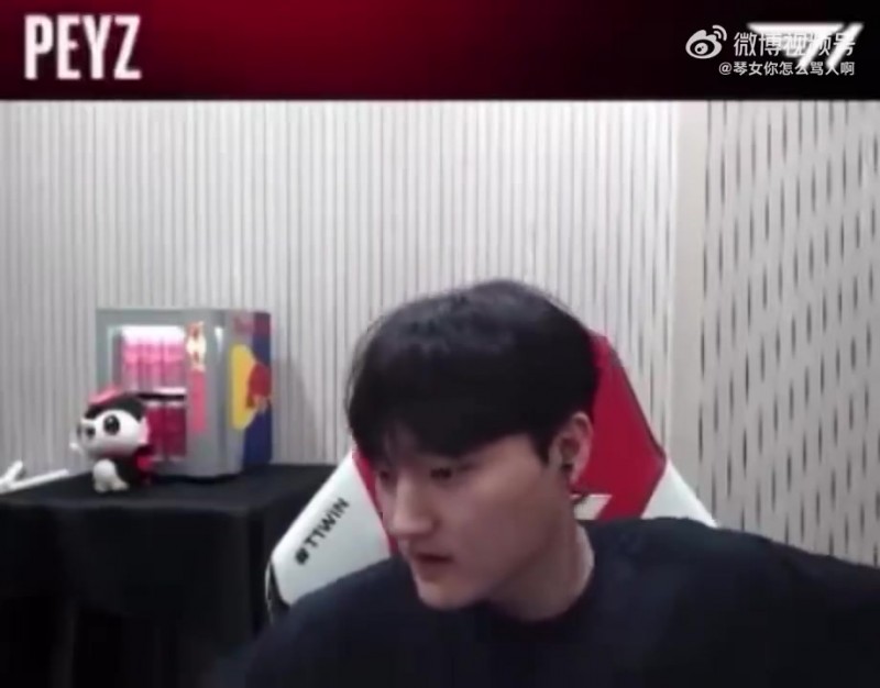 peyz：我的代表动物角色考拉吗？考拉真的很可爱我听说是睡最久的