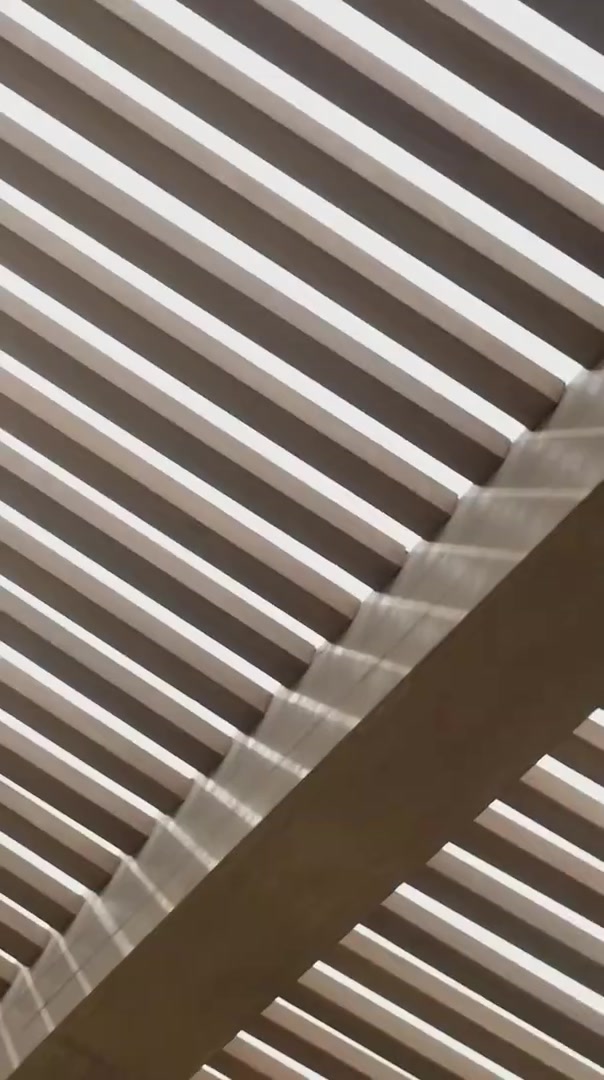 T1分享队员沙特旅游短片：当世界冠军来到红海