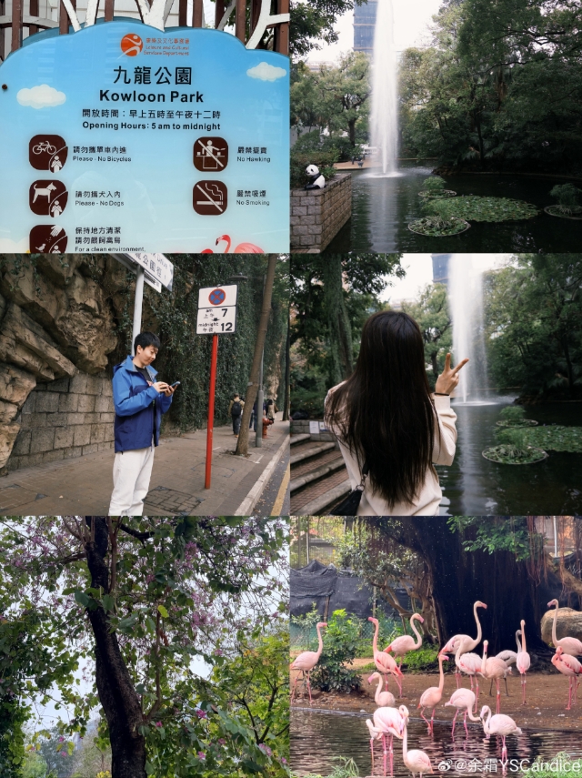 余霜晒与管泽元线下观赛LCK决赛合照：徒步👣