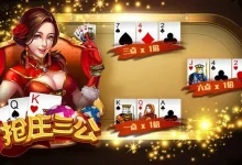 【大发娱乐】三公游戏全新体验，挑战你的刺激感官！-乐玩真人线上娱乐