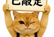 【乐玩LEWIN】LPL爆料人：iG最终阵容，呼吸，wei，肉鸡，jiaqi，meiko-乐玩真人线上娱乐