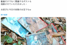 【乐玩LEWIN】作品被丢到山里⋯架乃ゆら(架乃由罗)这么看-乐玩真人线上娱乐