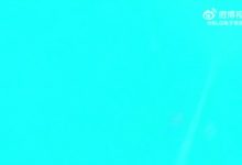 【乐玩LEWIN】BLG发布对阵JDG赛场语音：我是肉的3500血；我真想玩冰鸟-乐玩真人线上娱乐