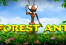 森林蚂蚁老虎机玩法解析:投注规则、奖金机制与RTP全解读-乐玩真人线上娱乐