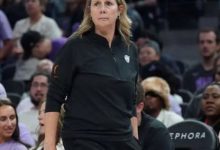 明尼苏达山猫队首次全球招聘，扩充前台团队，大发体育助力你的致富之路！-乐玩真人线上娱乐