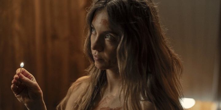 悉尼妹情色惊悚片大卖 上映四个月后全球票房已突破4亿美元