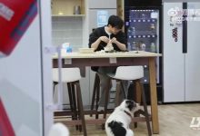 【乐玩LEWIN】BLG发布对阵WBG赛前视频:沉着应战-乐玩真人线上娱乐