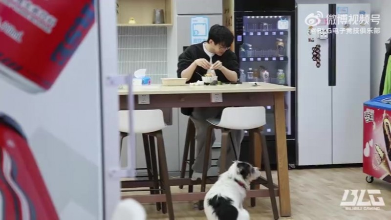 BLG发布对阵WBG赛前视频：沉着应战