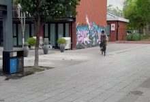 【乐玩LEWIN】BLG分享日常视频：丹尼的才艺展示环节 🚲是圈恩的-乐玩真人线上娱乐