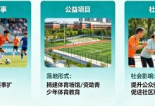 解析开云体育的“体育+公益”模式：社会责任感-乐玩真人线上娱乐