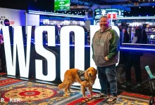 【EV扑克】带着金毛打WSOP?“没有它,我可能会死在牌桌上”-乐玩真人线上娱乐