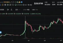 Bonk Guy的链上逆袭与争议：影响力、跟单与高集中仓位的回撤风险-乐玩真人线上娱乐