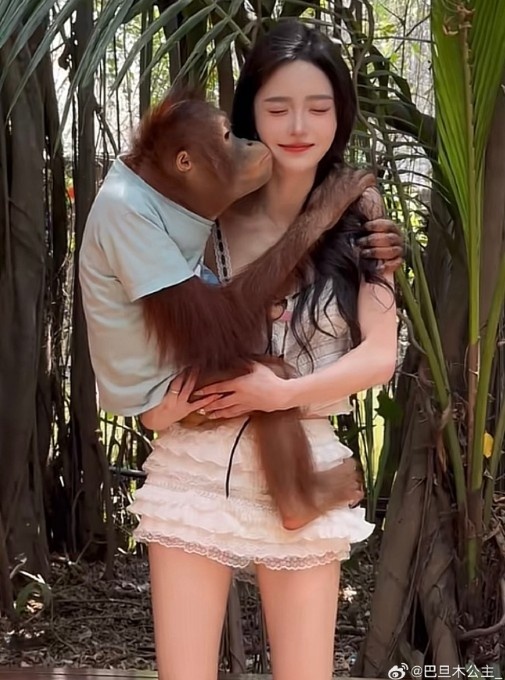美女与野兽!巴旦木发布动态:被猩猩亲吻的我