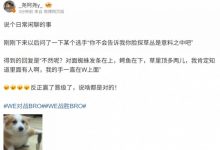 【乐玩LEWIN】脸探草是计划?Monki解惑:不然呢?草里顶多两人 我捏着W的!-乐玩真人线上娱乐