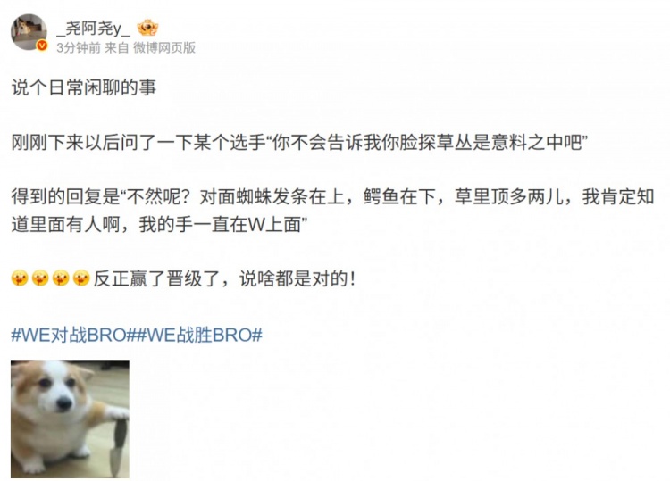 脸探草是计划？Monki解惑：不然呢？草里顶多两人 我捏着W的！